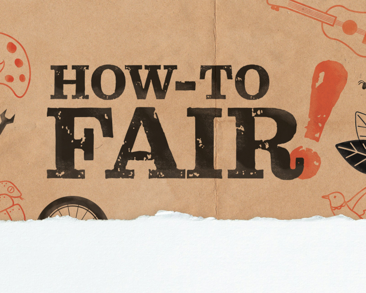 Image: How-to Fair Graphic